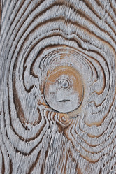 Similar image 20995255