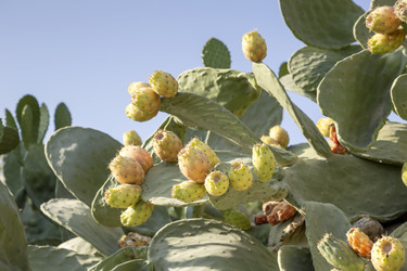 Similar image 20993359