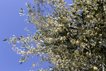 Similar image 20994963