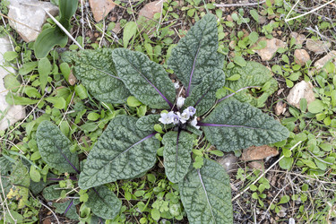 Similar image 21001394