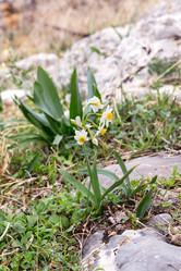 Similar image 20993365