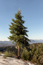 Similar image 20997964