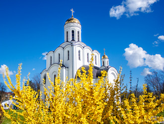 Similar image 20993404