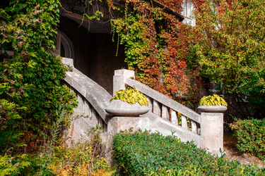 Similar image 20993409