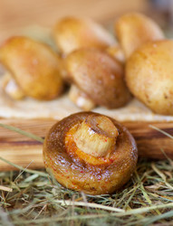 Similar image 21013860