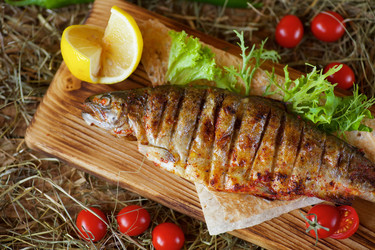 Similar image 21013875