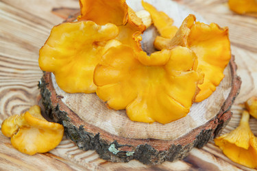 Similar image 21007383