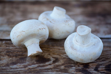 Similar image 21007384