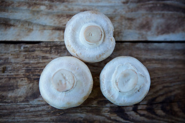 Similar image 21007385