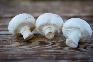 Similar image 21007386