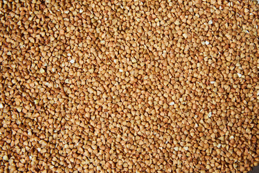 Similar image 21007396