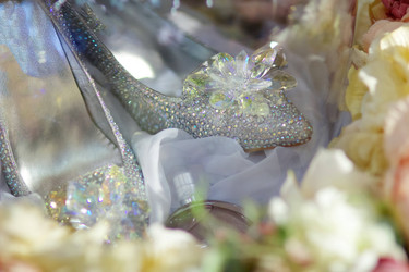 Similar image 21013933