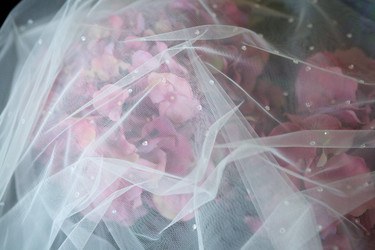 Similar image 20996824