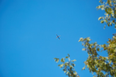 Similar image 21003308