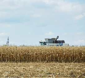 Similar image 21003314