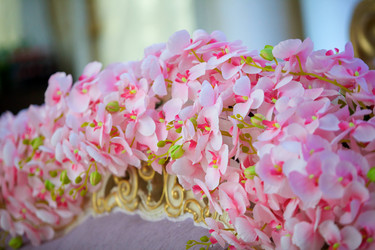 Similar image 21007511