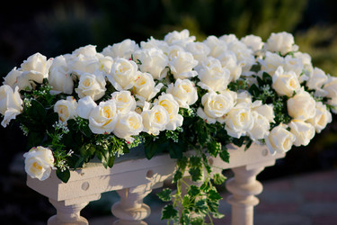 Similar image 21007553