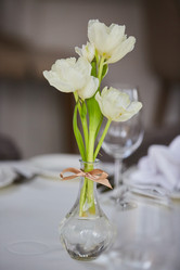 Similar image 21007556