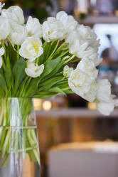 Similar image 21007559