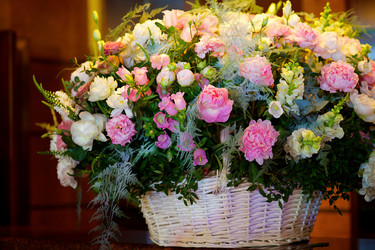 Similar image 21007560