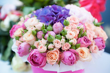 Similar image 21007608