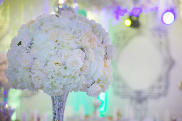 Similar image 21007615