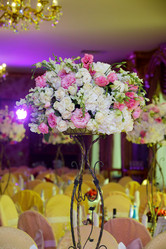 Similar image 21007616