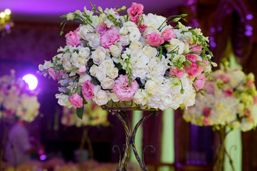 Similar image 21007617