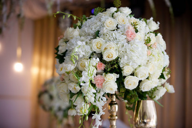 Similar image 21007618