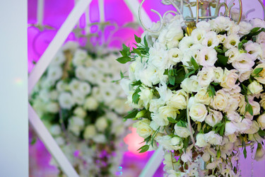 Similar image 21007619