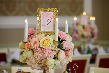 Similar image 21012690