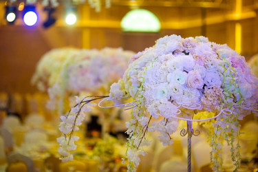 Similar image 21012692