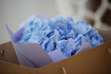 Similar image 21013728