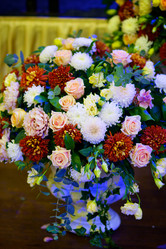 Similar image 21013748