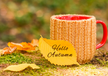 Similar image 20993369