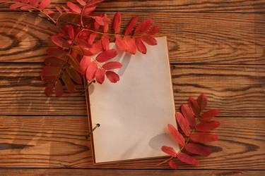 Similar image 20993375