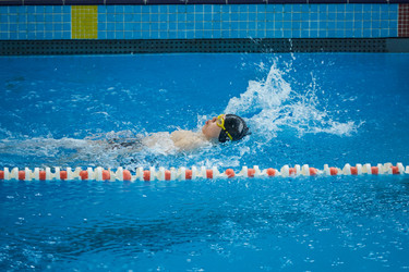 Similar image 21003340