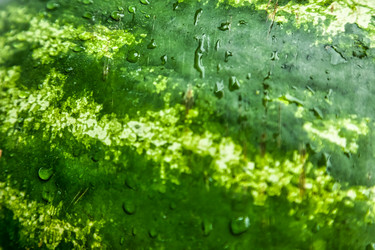 Similar image 21002595