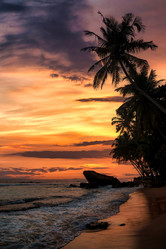 Similar image 21002621