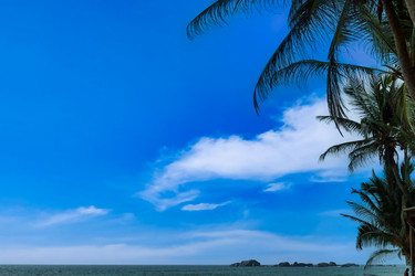 Similar image 21002635