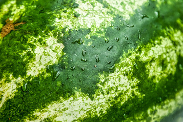 Similar image 21002638