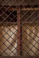 Similar image 21002772