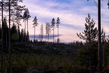 Similar image 20995510