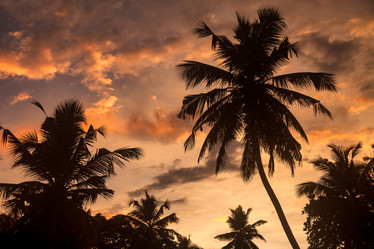 Similar image 21000300