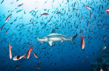 Similar image 21000312