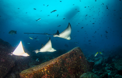 Similar image 21000316