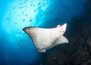 Similar image 21000317