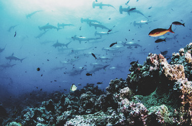 Similar image 21000318