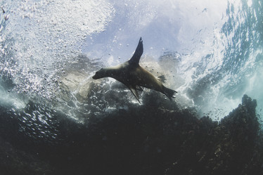 Similar image 21000321