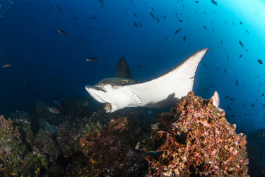 Similar image 21000322